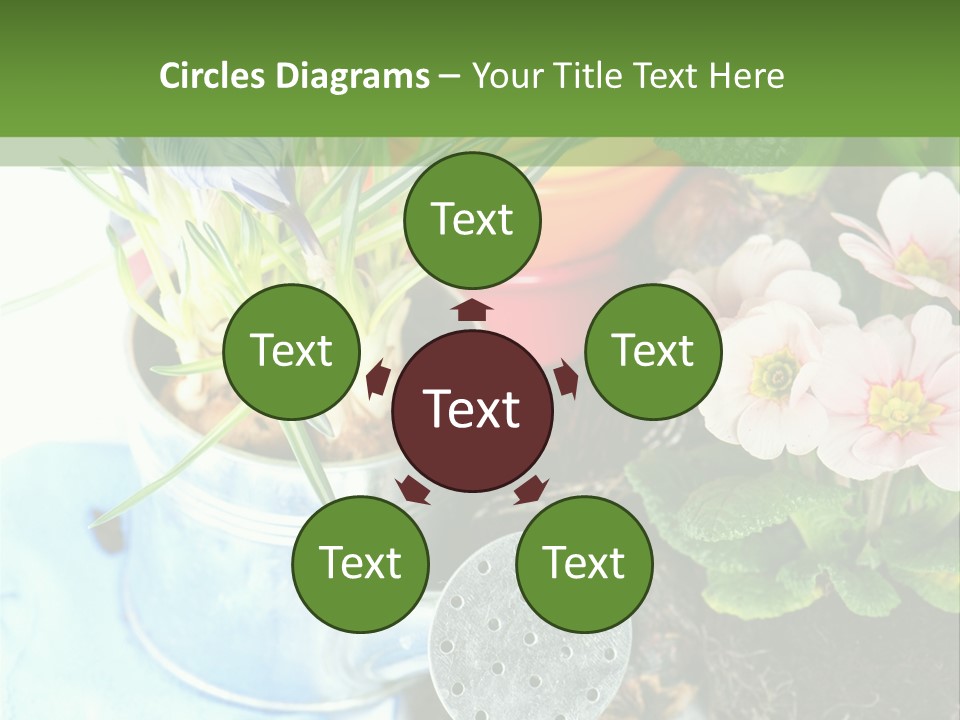 Rubber Leaves Spring Time PowerPoint Template