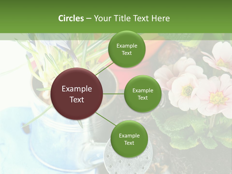 Rubber Leaves Spring Time PowerPoint Template