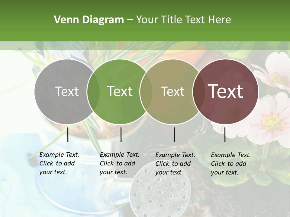 Rubber Leaves Spring Time PowerPoint Template