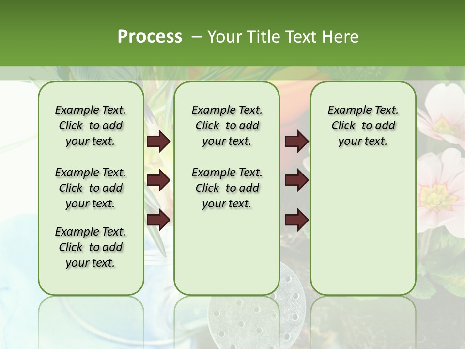 Rubber Leaves Spring Time PowerPoint Template