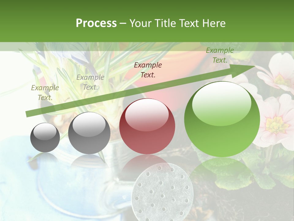 Rubber Leaves Spring Time PowerPoint Template