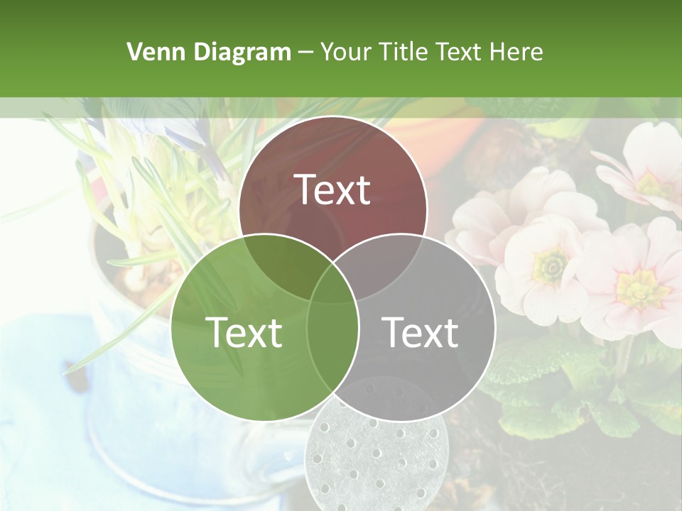 Rubber Leaves Spring Time PowerPoint Template