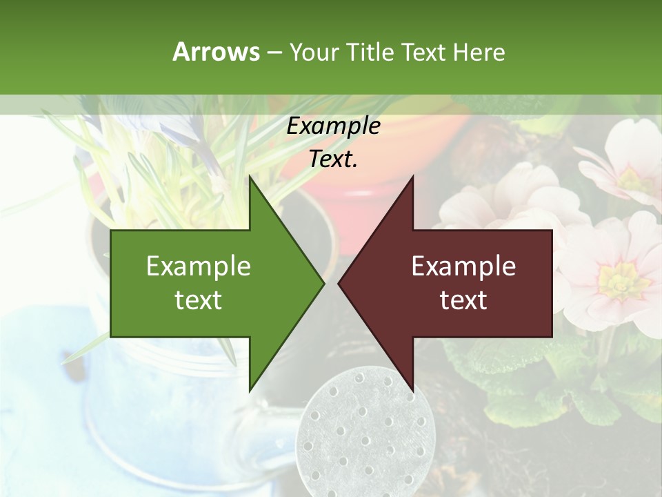 Rubber Leaves Spring Time PowerPoint Template