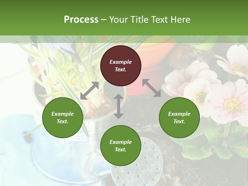 Rubber Leaves Spring Time PowerPoint Template