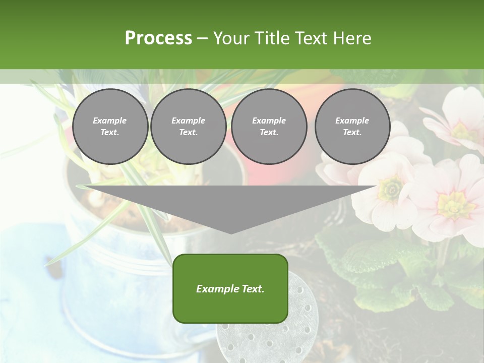 Rubber Leaves Spring Time PowerPoint Template