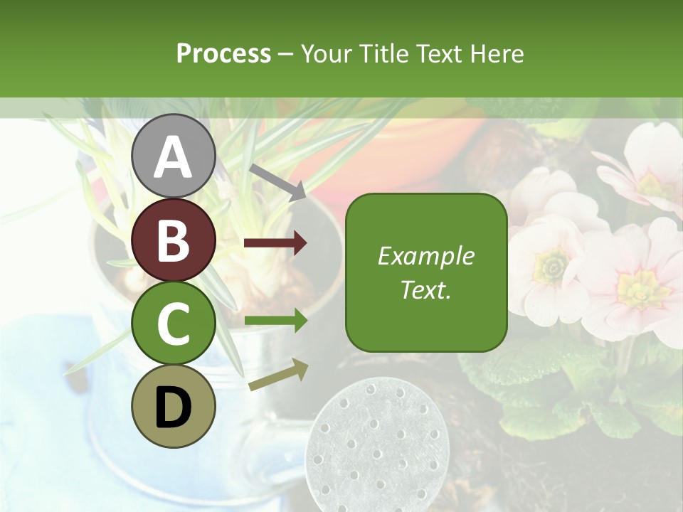 Rubber Leaves Spring Time PowerPoint Template