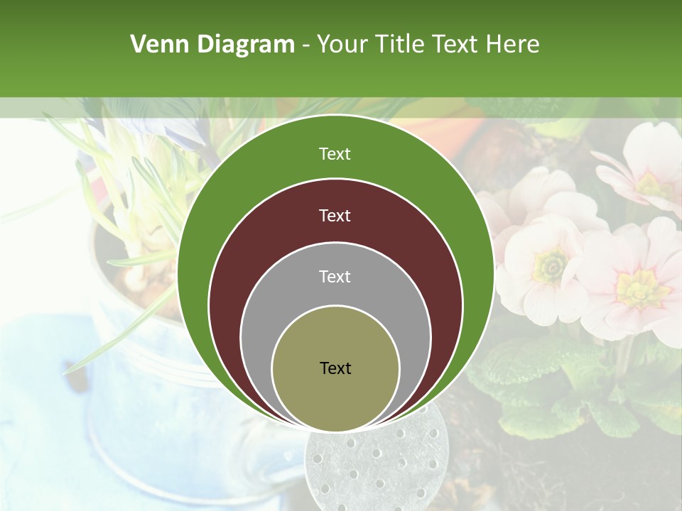 Rubber Leaves Spring Time PowerPoint Template