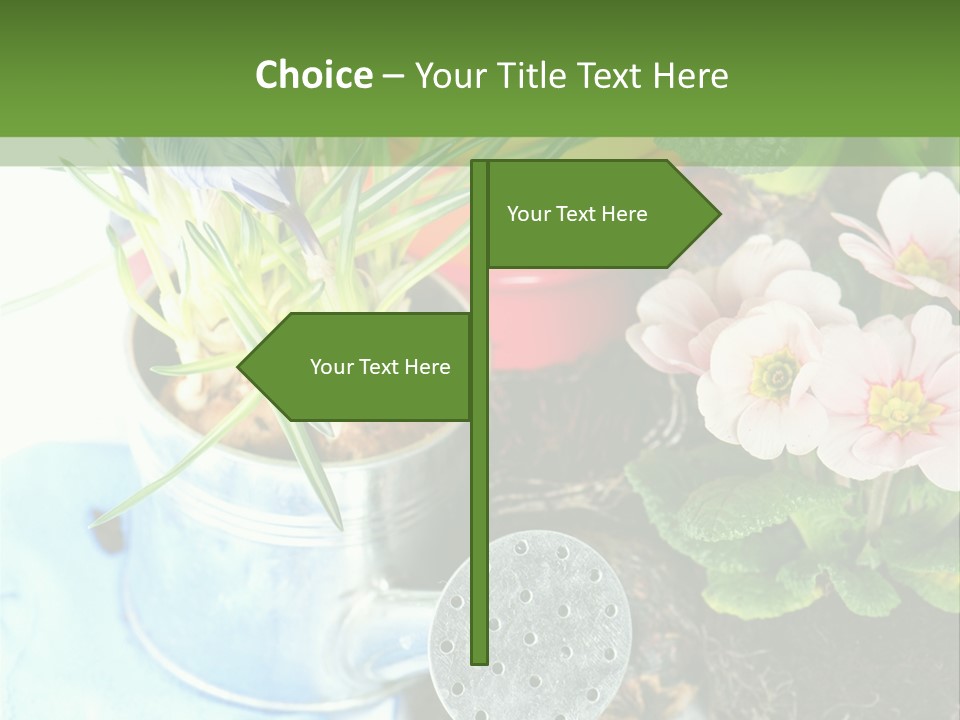 Rubber Leaves Spring Time PowerPoint Template