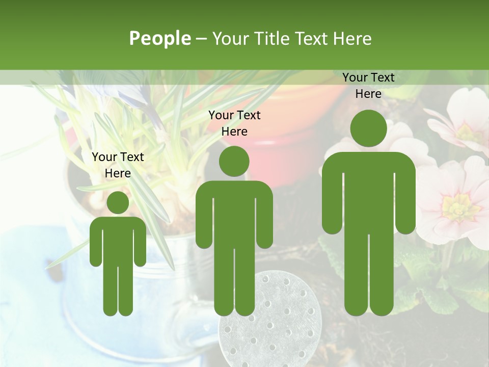 Rubber Leaves Spring Time PowerPoint Template