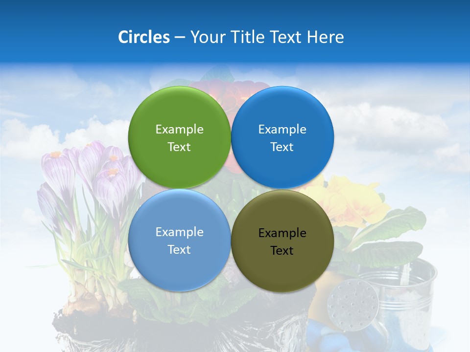 Bloom Red Primula PowerPoint Template