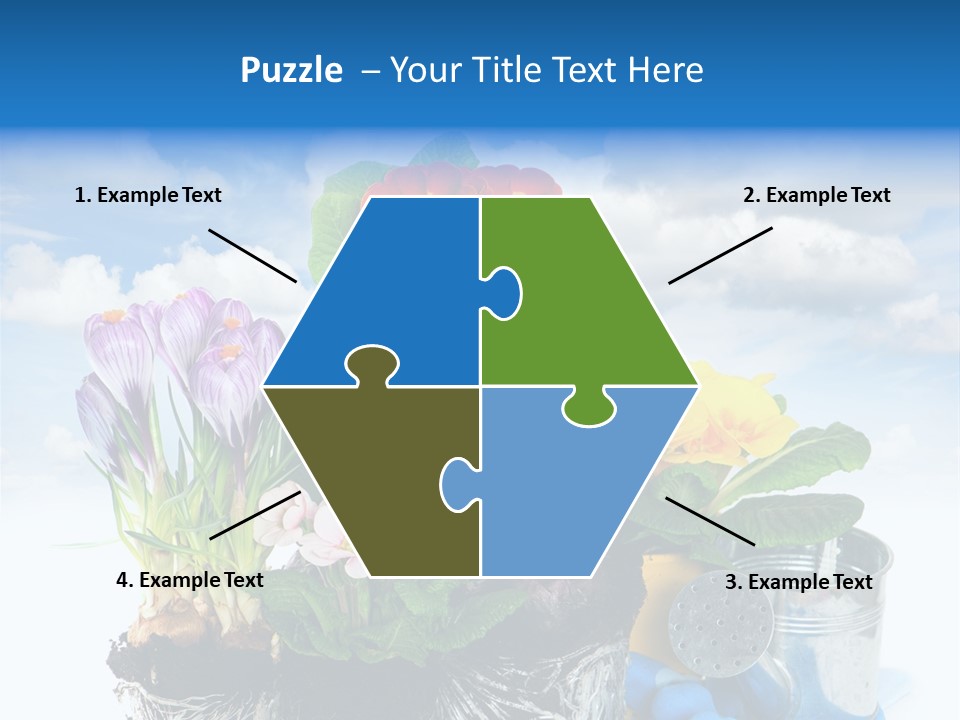 Bloom Red Primula PowerPoint Template