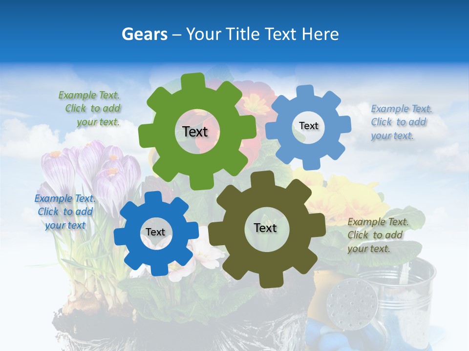 Bloom Red Primula PowerPoint Template