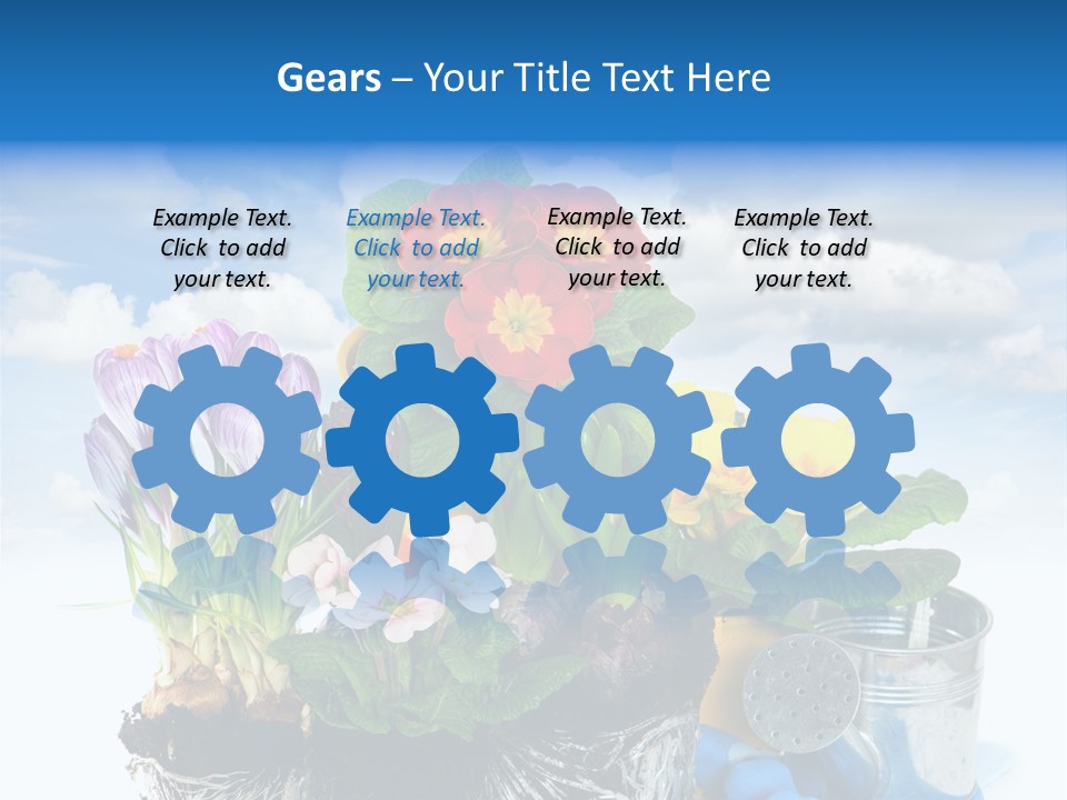 Bloom Red Primula PowerPoint Template