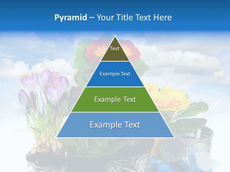 Bloom Red Primula PowerPoint Template