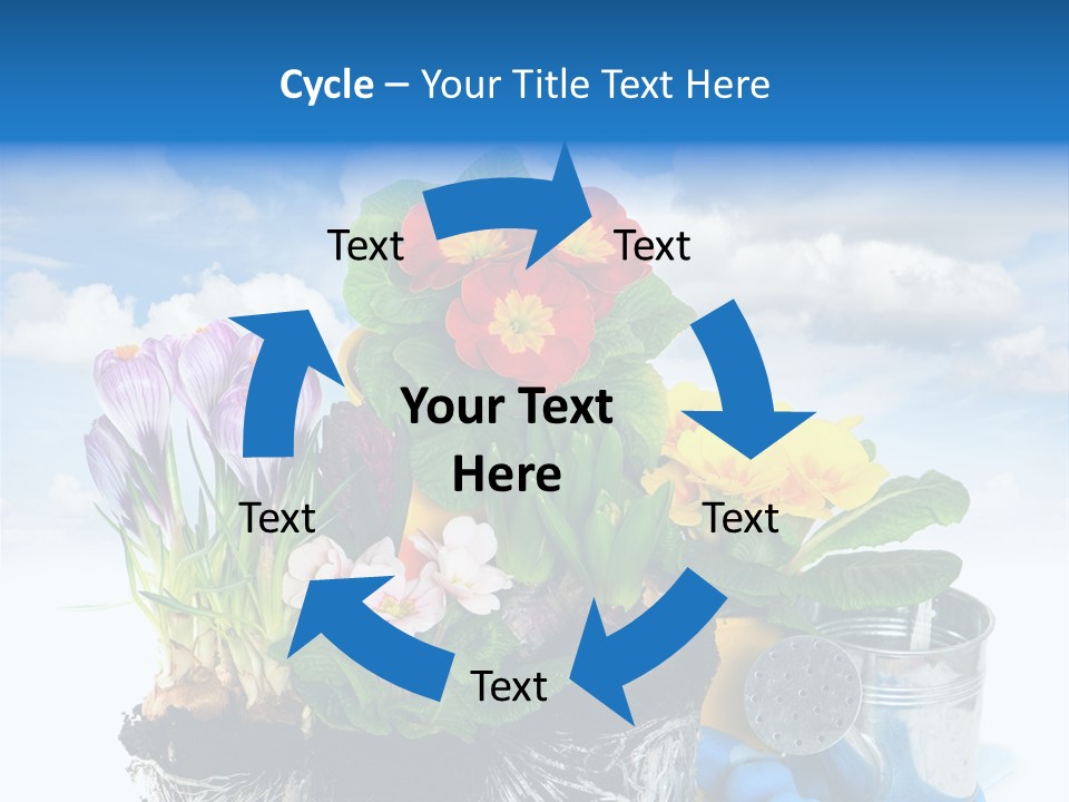 Bloom Red Primula PowerPoint Template