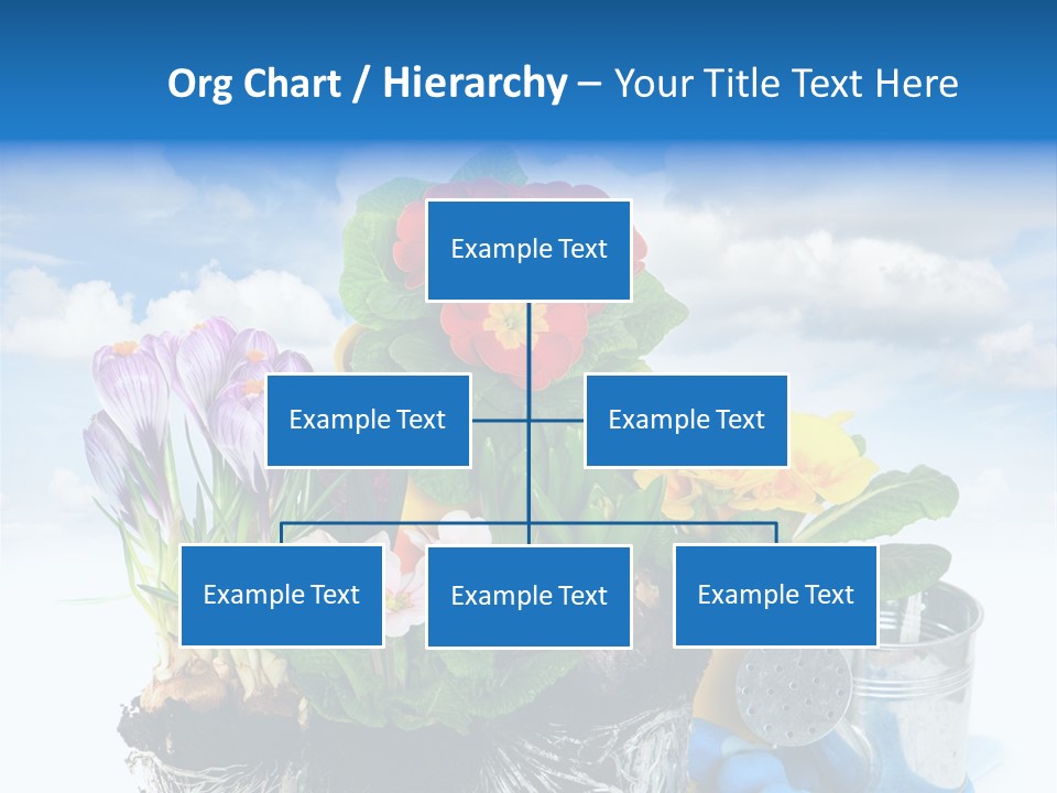 Bloom Red Primula PowerPoint Template
