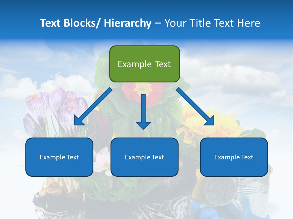 Bloom Red Primula PowerPoint Template