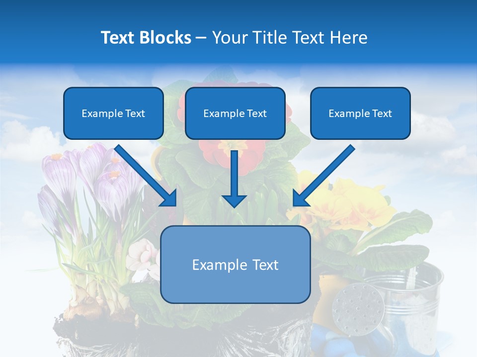 Bloom Red Primula PowerPoint Template