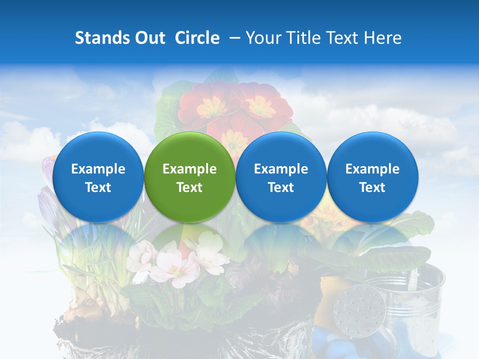 Bloom Red Primula PowerPoint Template