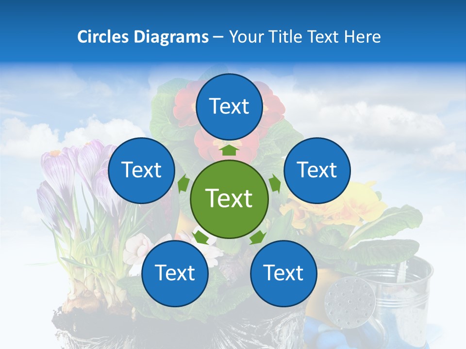 Bloom Red Primula PowerPoint Template