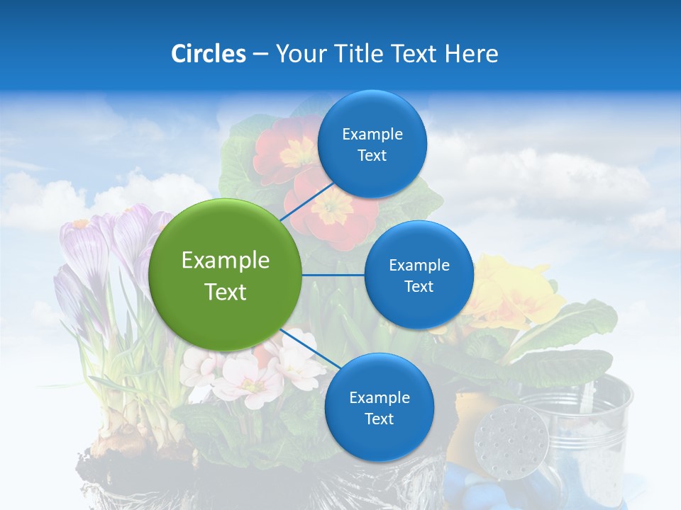 Bloom Red Primula PowerPoint Template