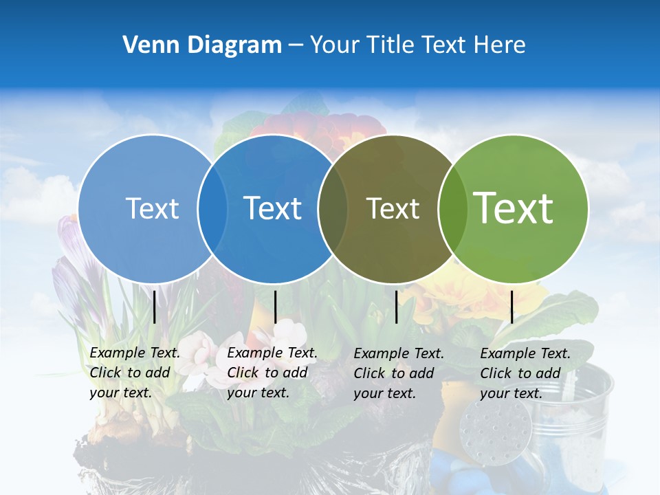 Bloom Red Primula PowerPoint Template