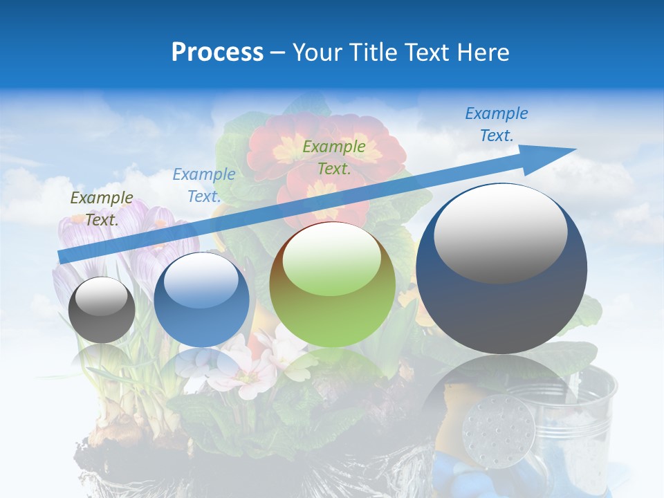 Bloom Red Primula PowerPoint Template