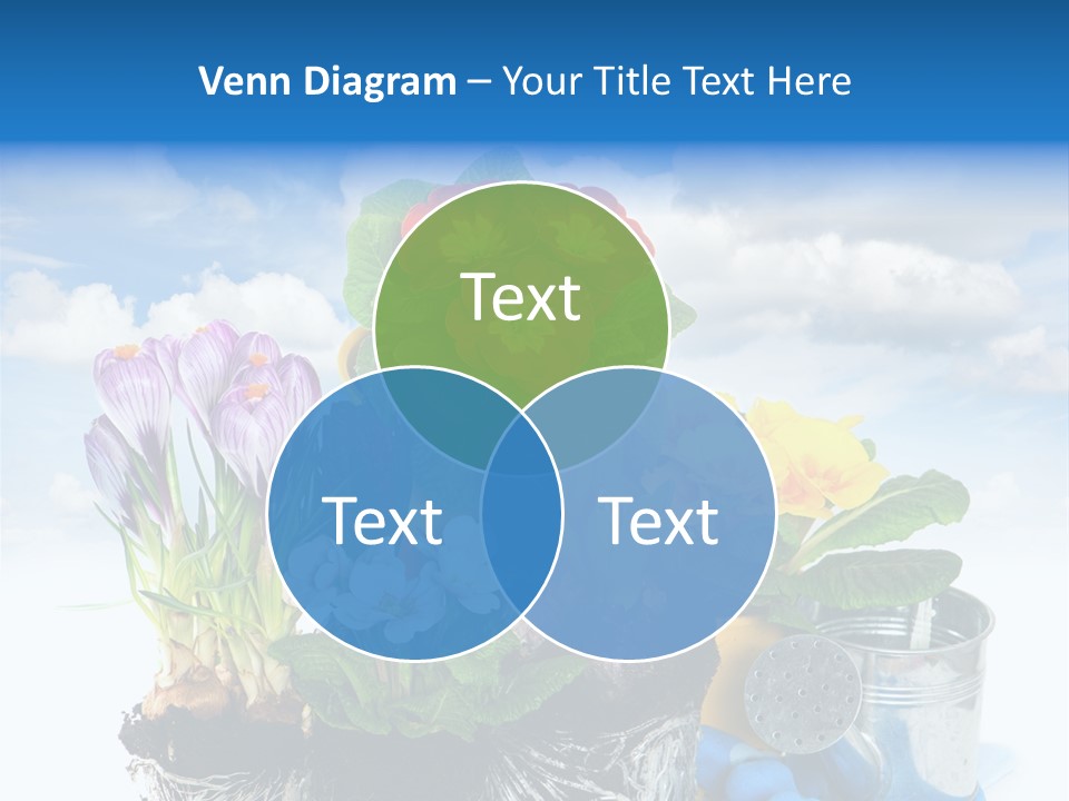 Bloom Red Primula PowerPoint Template