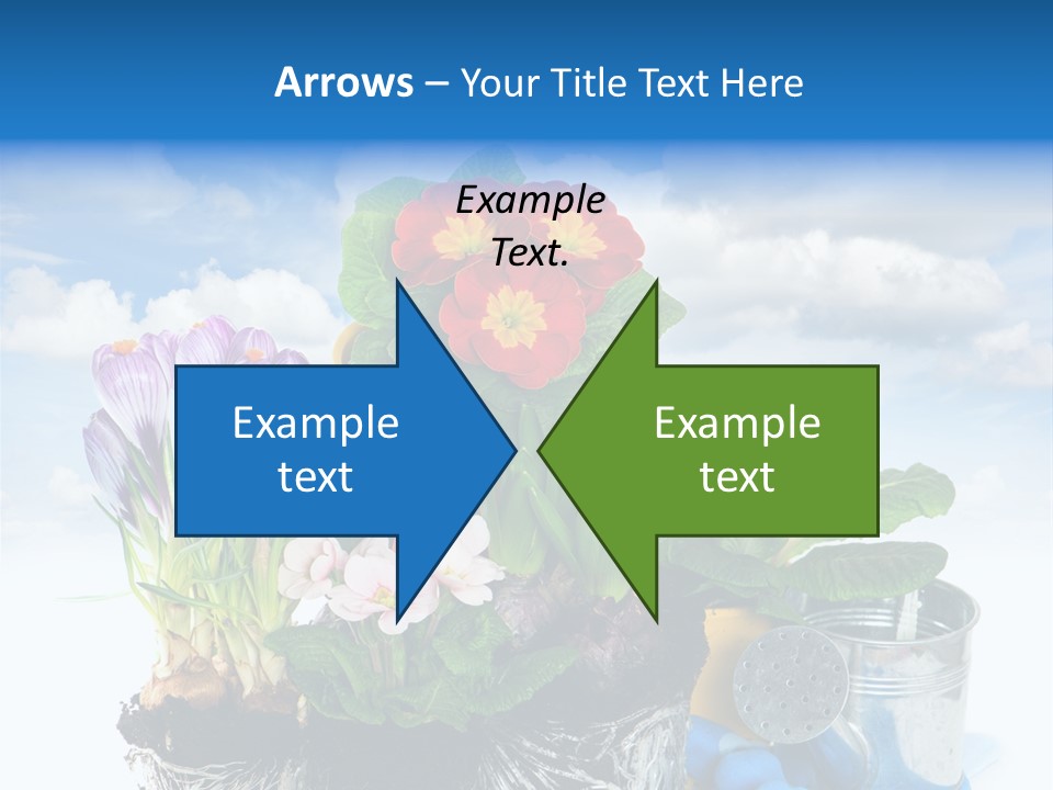 Bloom Red Primula PowerPoint Template