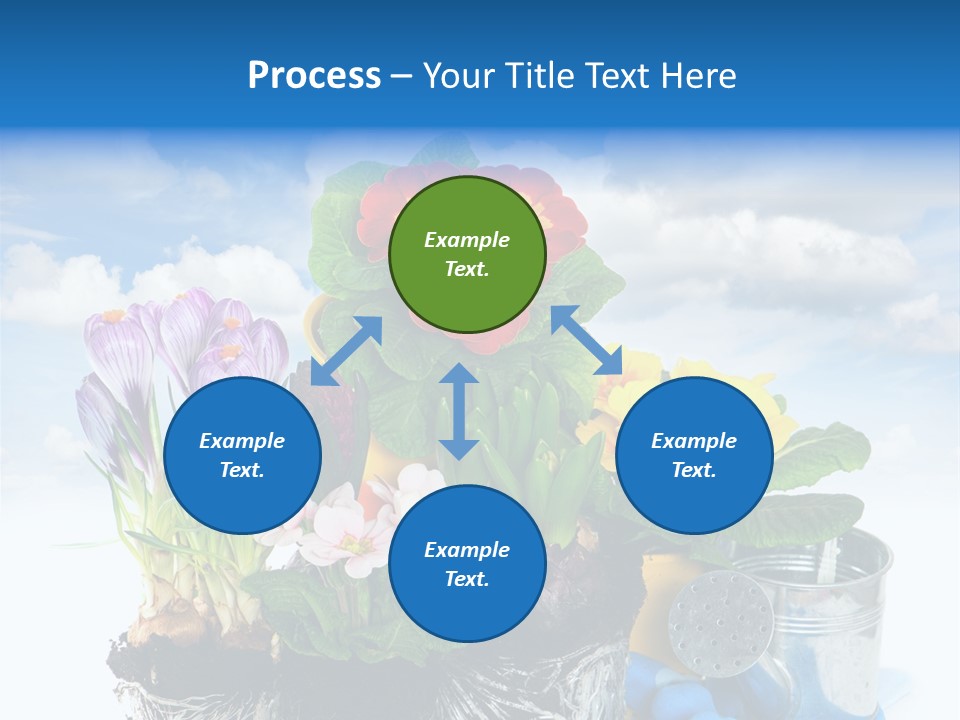 Bloom Red Primula PowerPoint Template