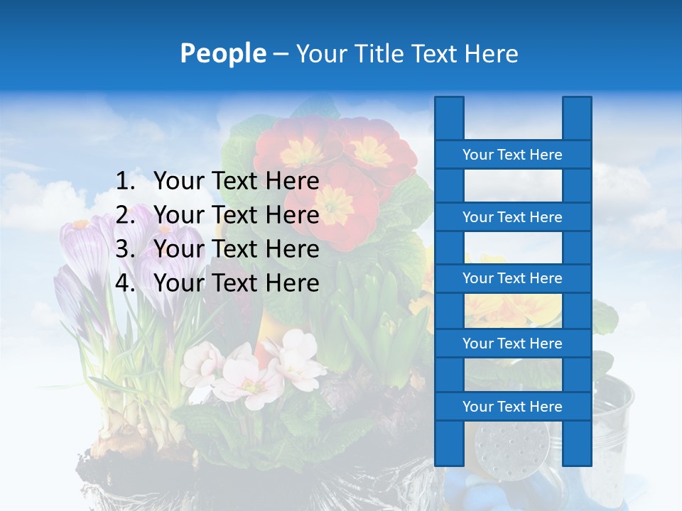 Bloom Red Primula PowerPoint Template
