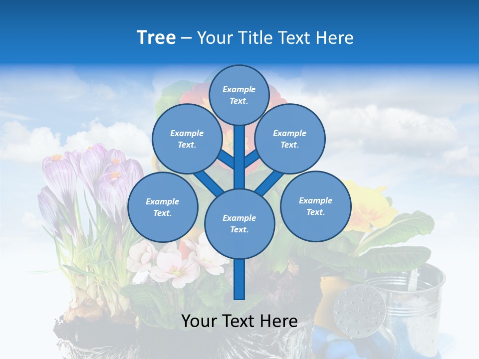 Bloom Red Primula PowerPoint Template