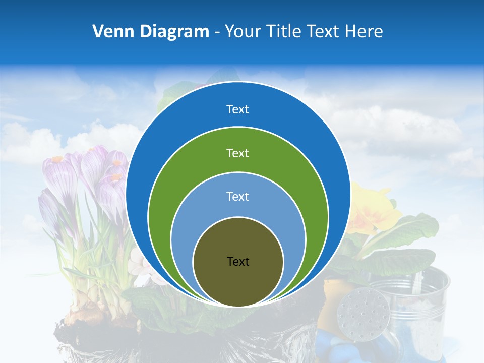 Bloom Red Primula PowerPoint Template
