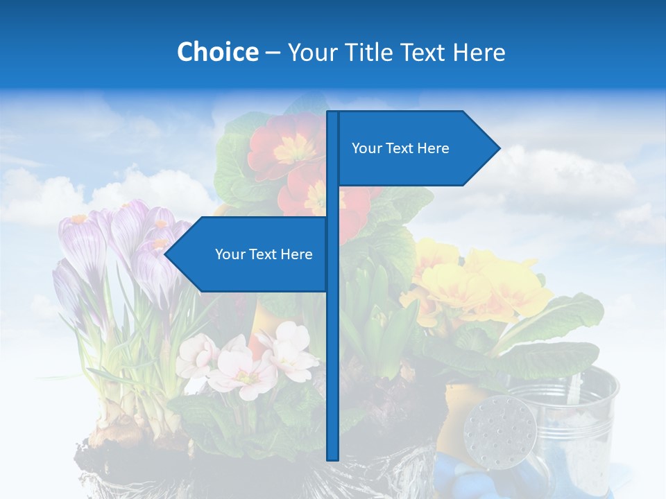 Bloom Red Primula PowerPoint Template