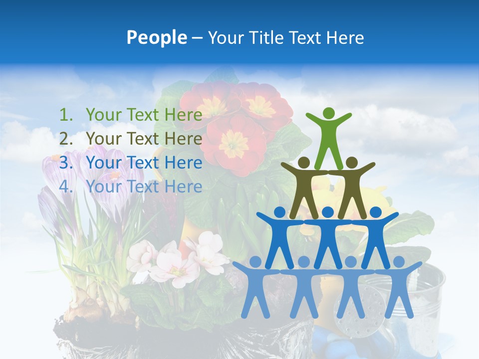 Bloom Red Primula PowerPoint Template