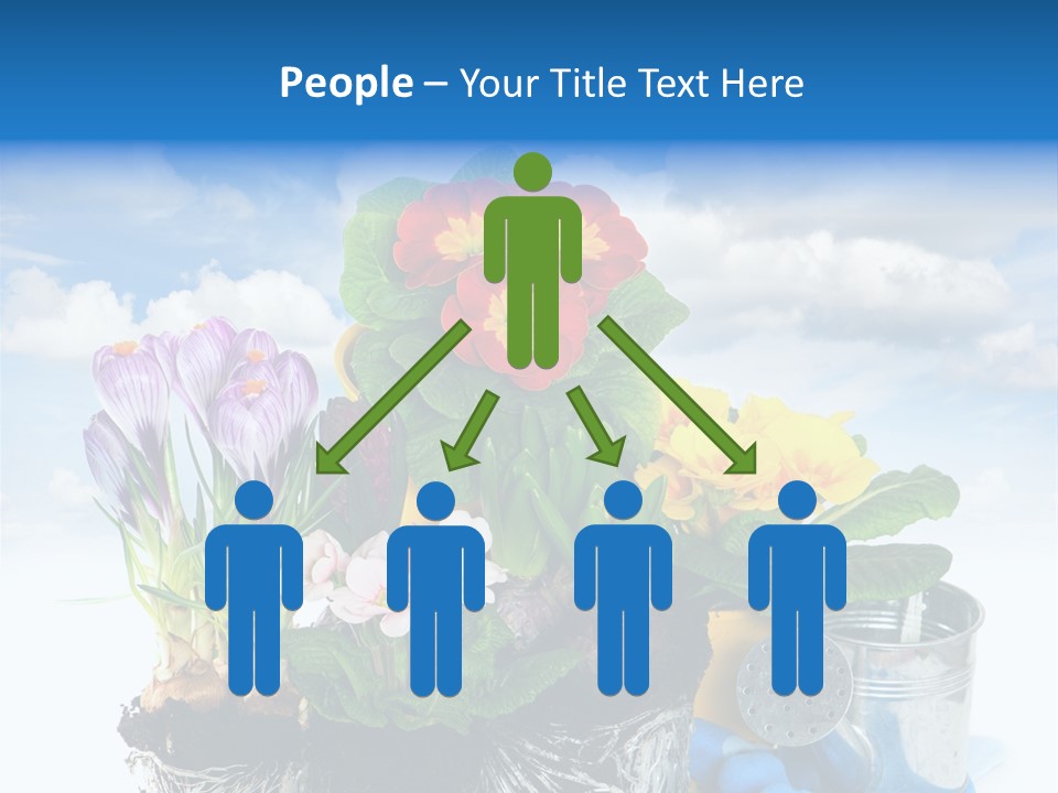 Bloom Red Primula PowerPoint Template