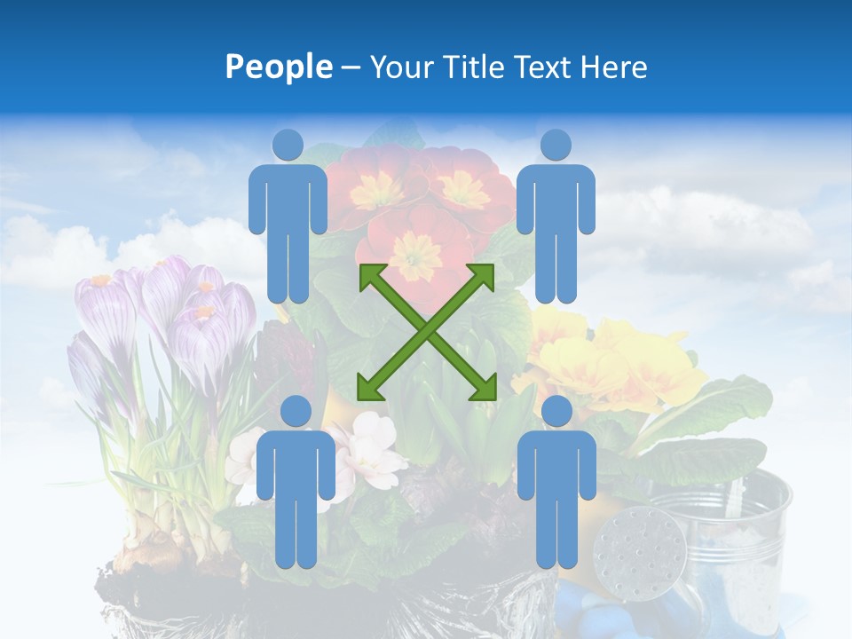 Bloom Red Primula PowerPoint Template