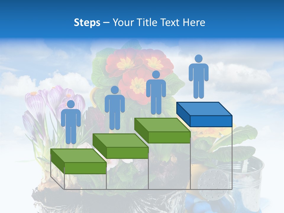 Bloom Red Primula PowerPoint Template