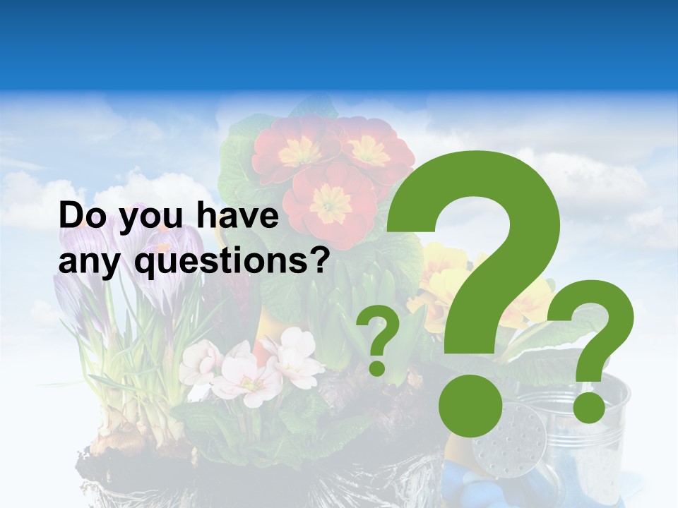 Bloom Red Primula PowerPoint Template