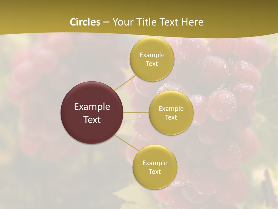 Company Humorou Room PowerPoint Template