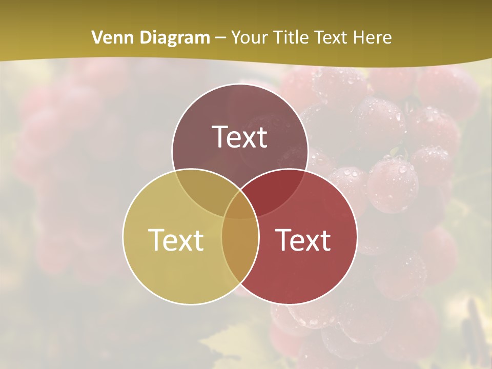 Company Humorou Room PowerPoint Template