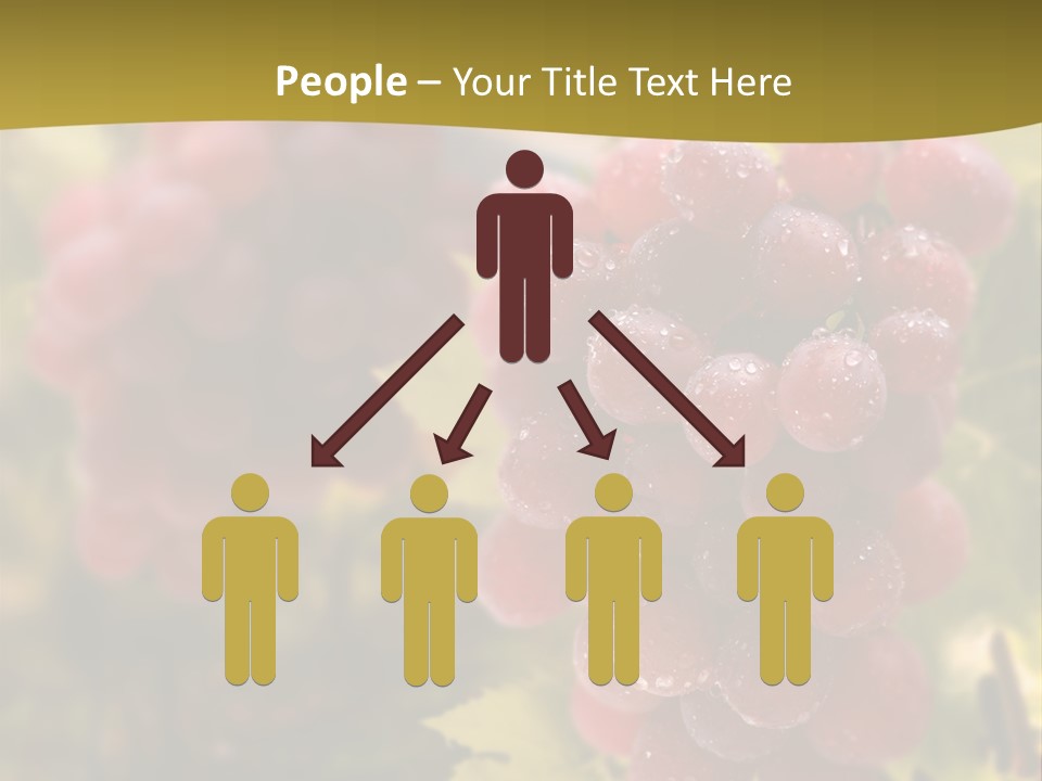 Company Humorou Room PowerPoint Template