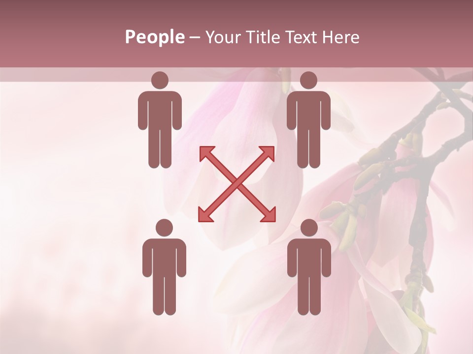 Office Li Ten People PowerPoint Template