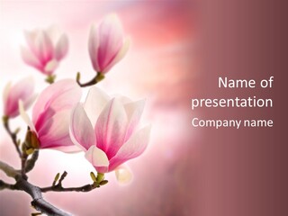 Boardroom Group Table PowerPoint Template