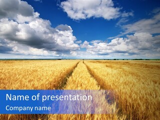 Green Golden Farm PowerPoint Template