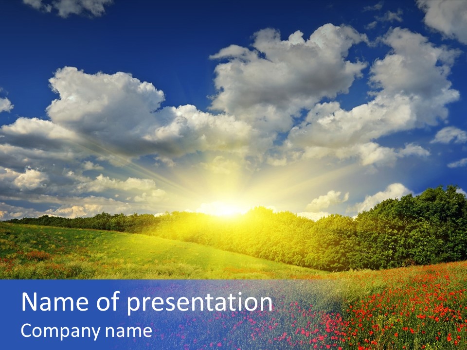 Nature Forest Sky PowerPoint Template