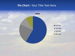 Nature Forest Sky PowerPoint Template