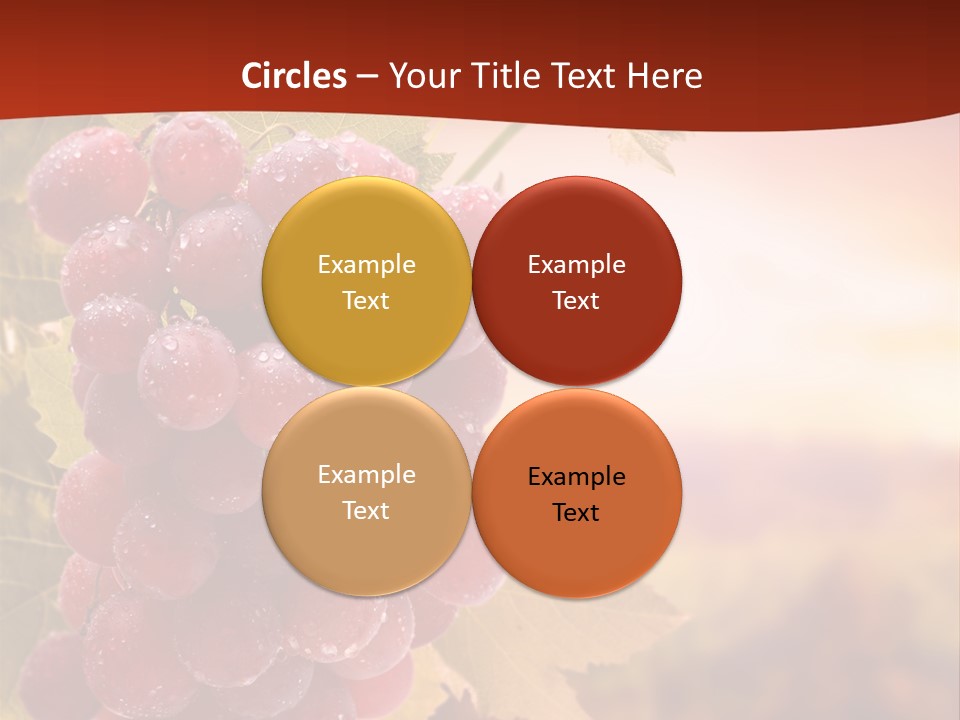 Management Di Cu Ion Character PowerPoint Template