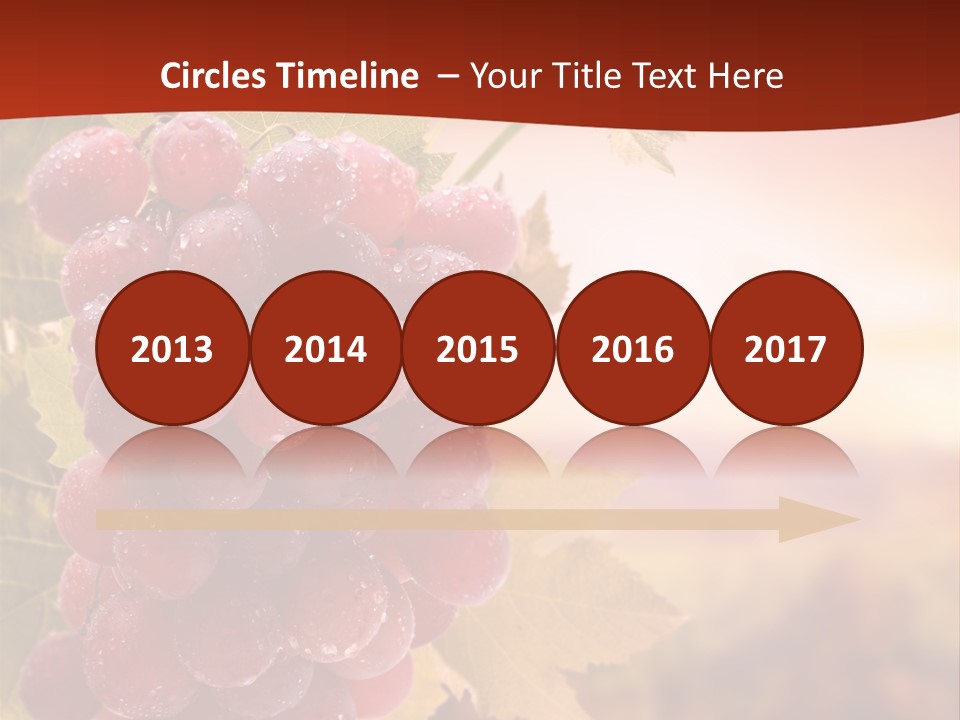 Management Di Cu Ion Character PowerPoint Template