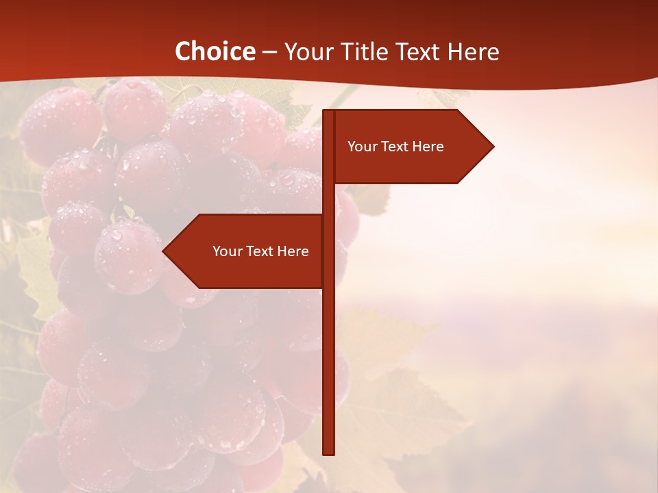Management Di Cu Ion Character PowerPoint Template